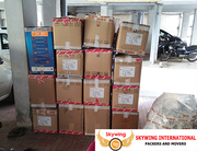 Skywing International Packers and Movers