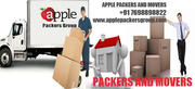 Apple packers group