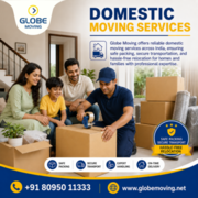Domestic Moving Services